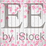 现实的樱花花瓣上的白色木制插画图片素材