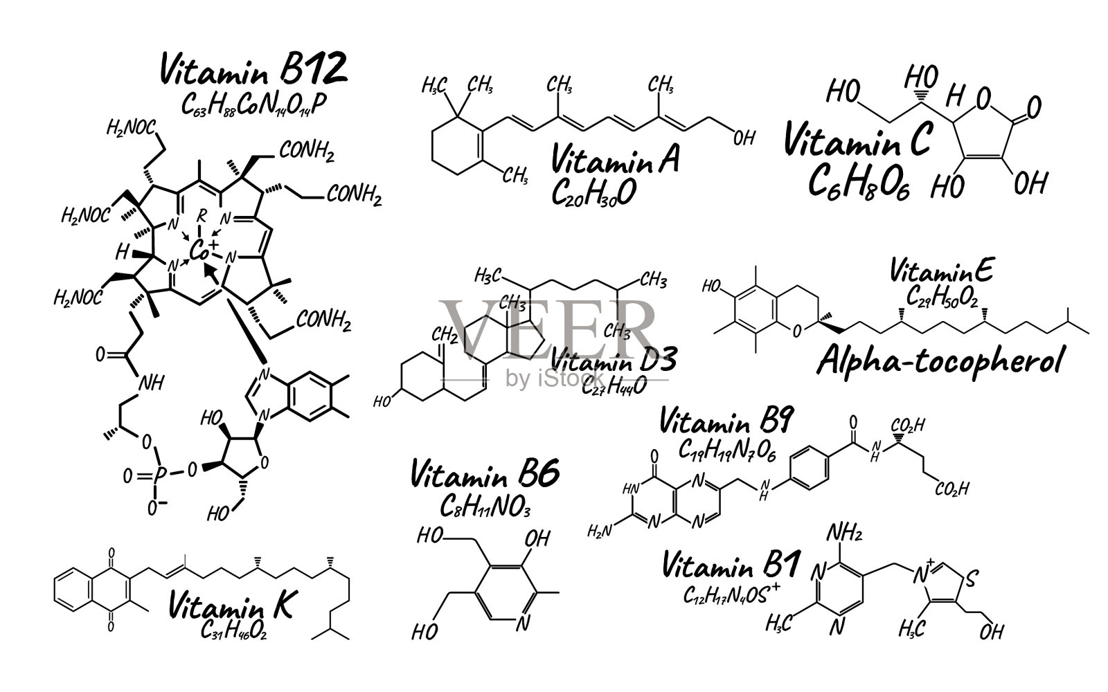 维生素b1 b6 b9 b12 k e标签和插画图片素材