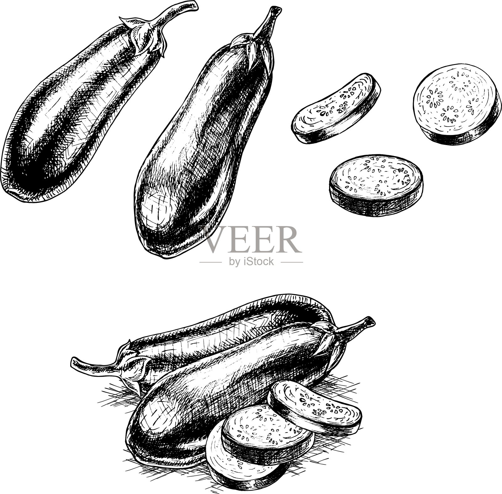 手绘茄子素描一套插画图片素材
