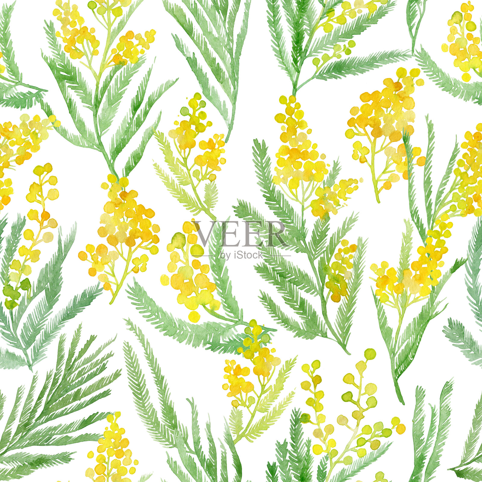 无缝图案与春天娇嫩的花朵-黄色含羞草插画图片素材