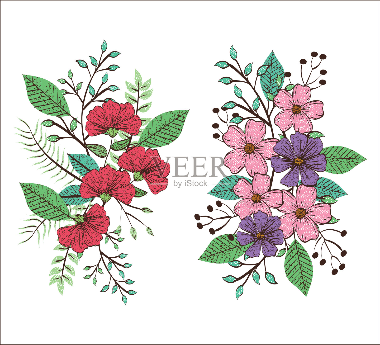 设置花卉装饰复古风格插画图片素材