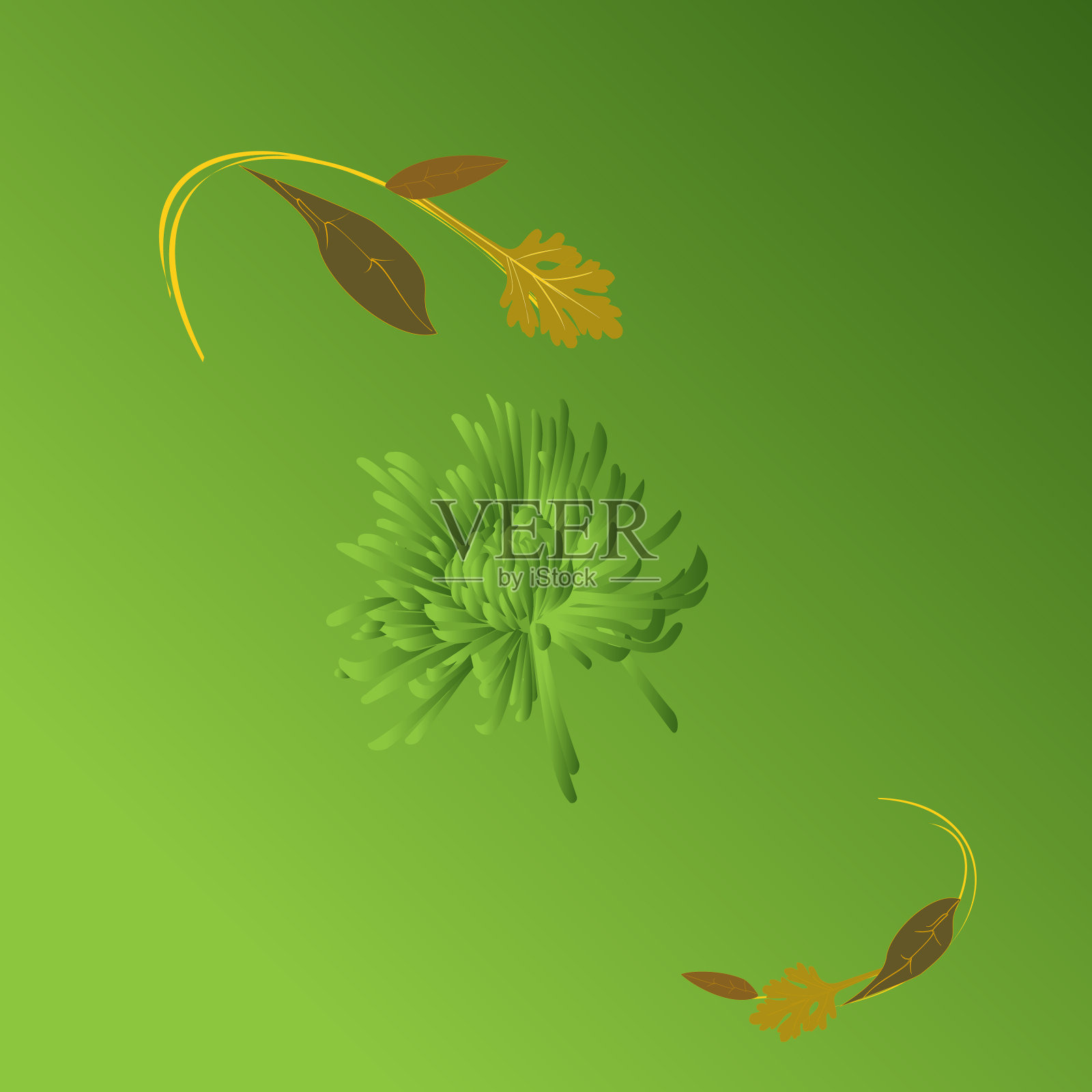 植物的绿色组成插画图片素材