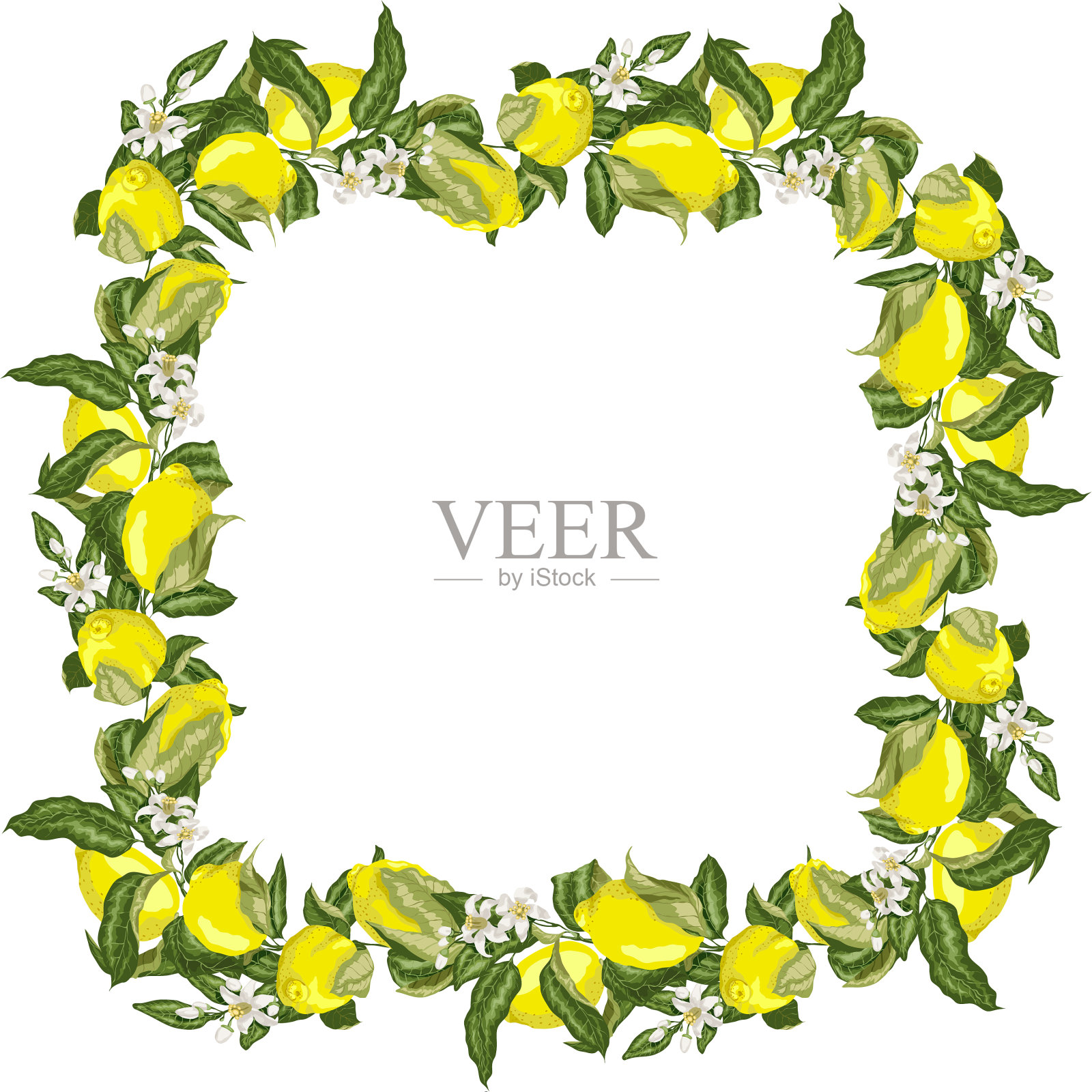 模板方形框架花环与柑橘类水果设计元素图片