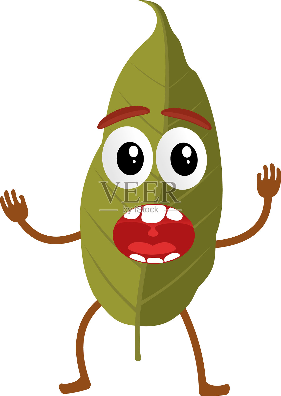 月桂叶卡通设计元素图片