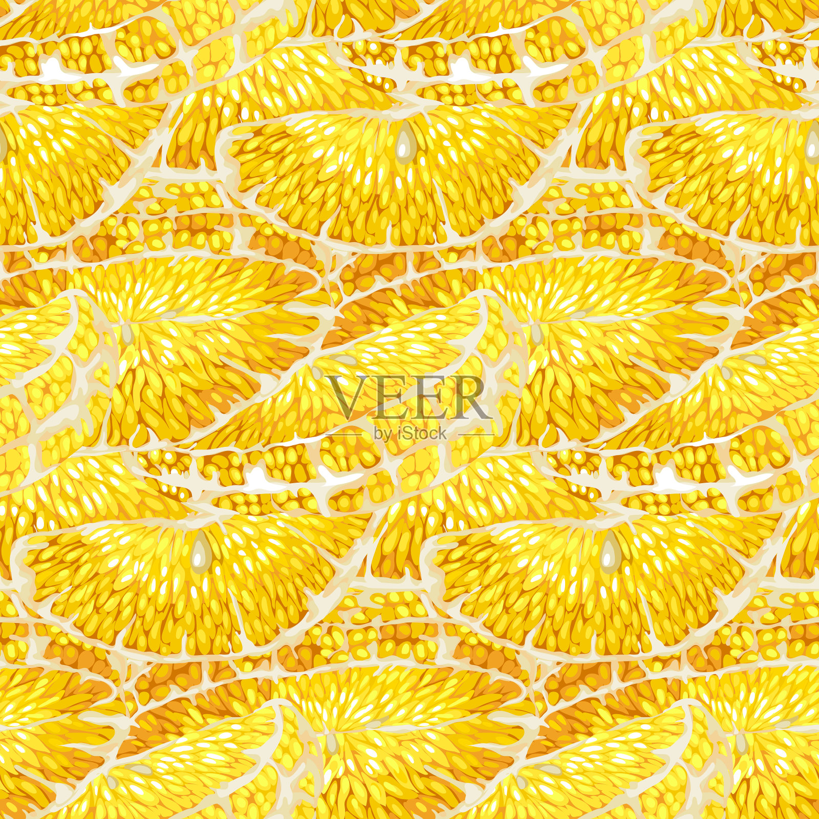 无缝柑桔树切片图案用插画图片素材