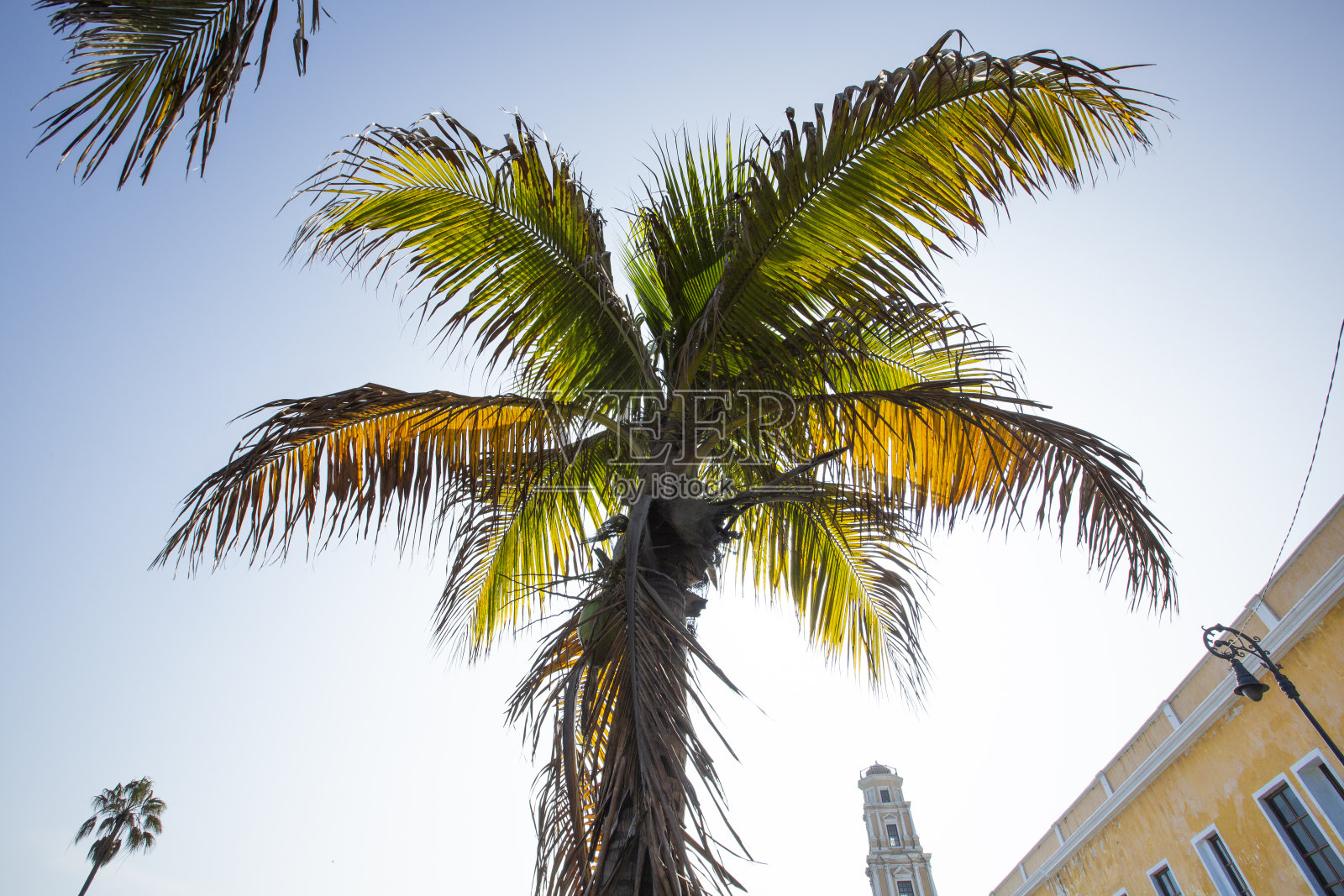 韦拉克鲁斯照片摄影图片