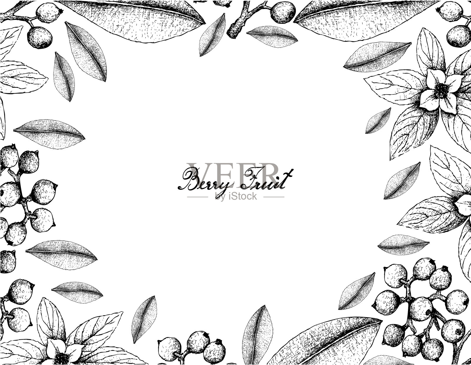 手画的束梅和卡拉草插画图片素材