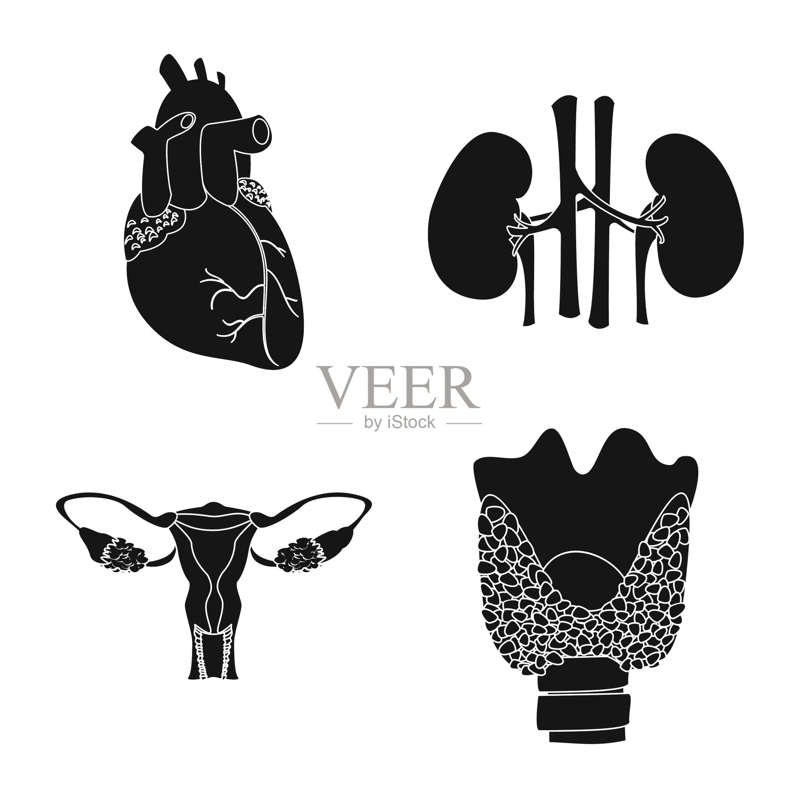 隔离对象的身体和人体标志收集插画图片素材