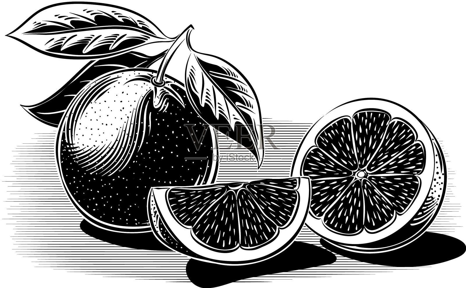 血橙和一个切成两半插画图片素材