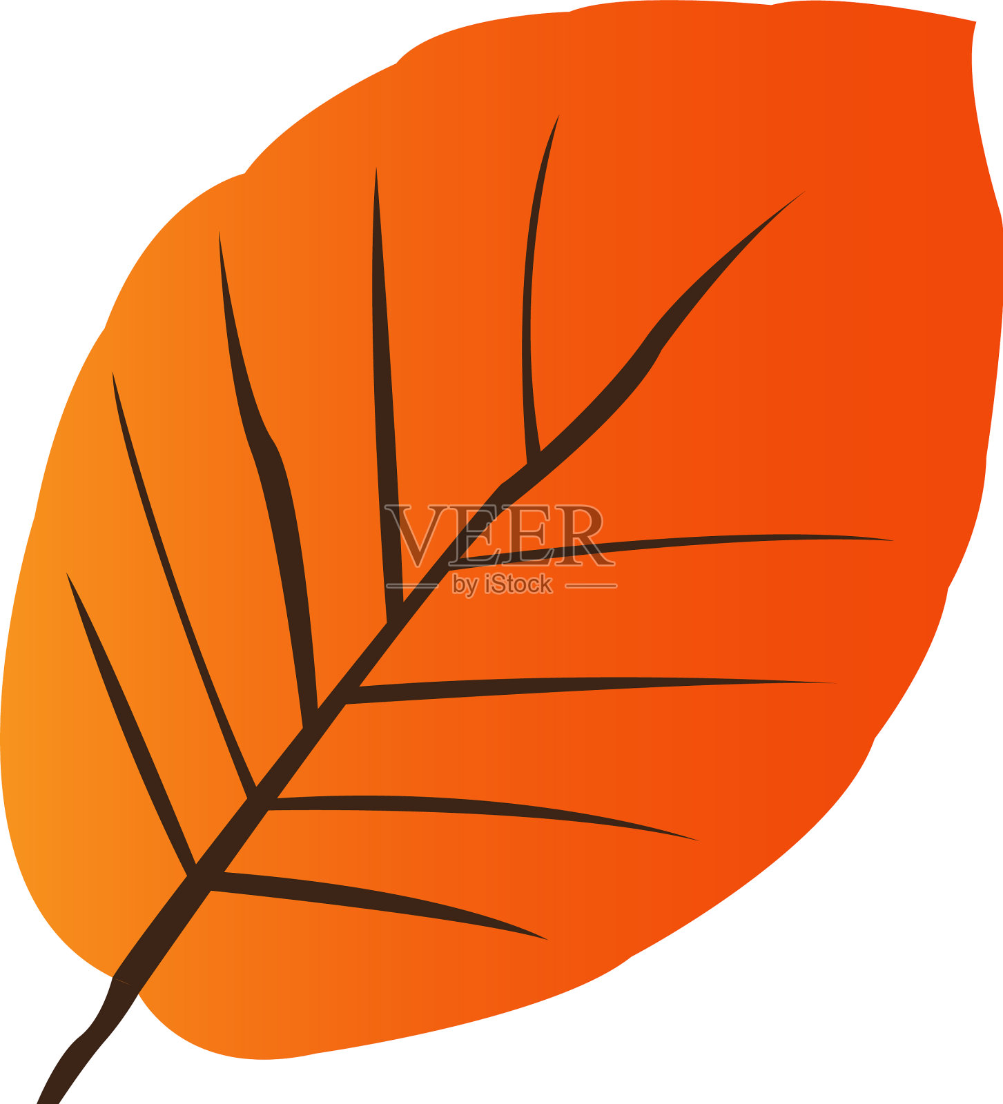 孤立的秋天叶子插画图片素材