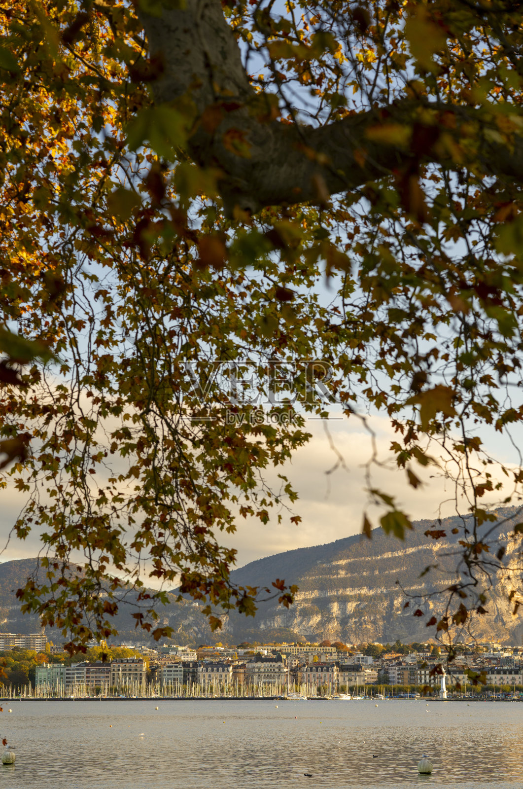 日内瓦在秋天照片摄影图片