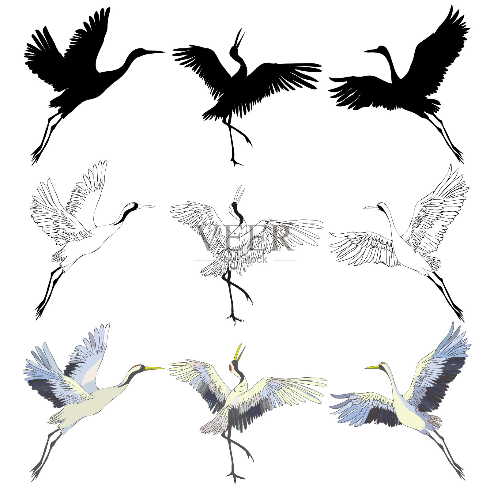 野鸟在飞翔，动物在自然界或设计元素图片