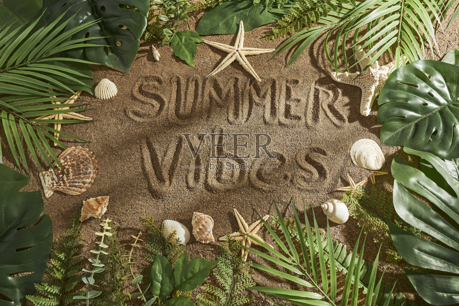 暑假的背景照片摄影图片