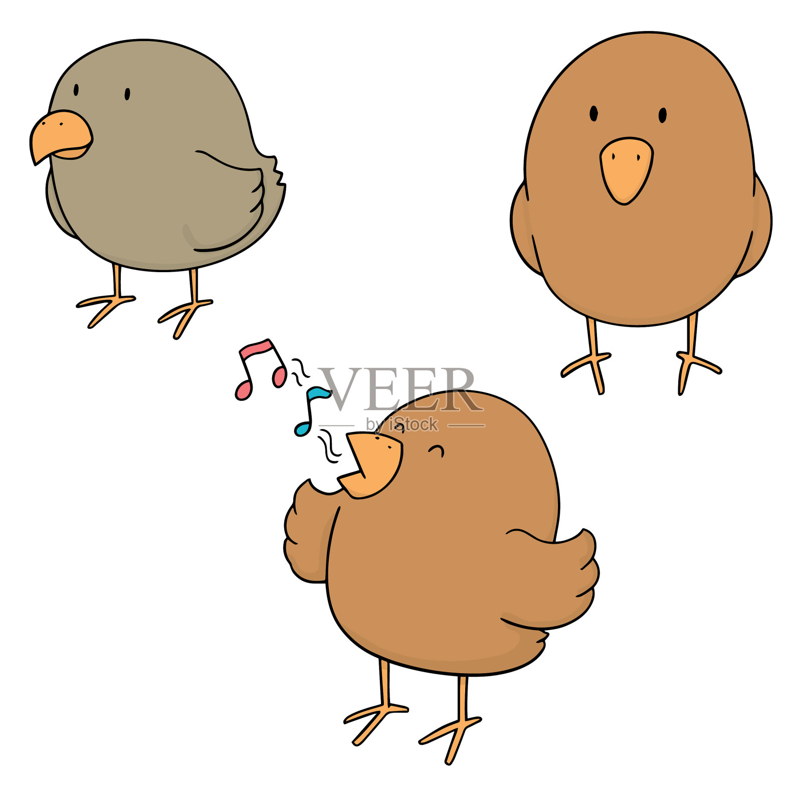 的鸟设计元素图片