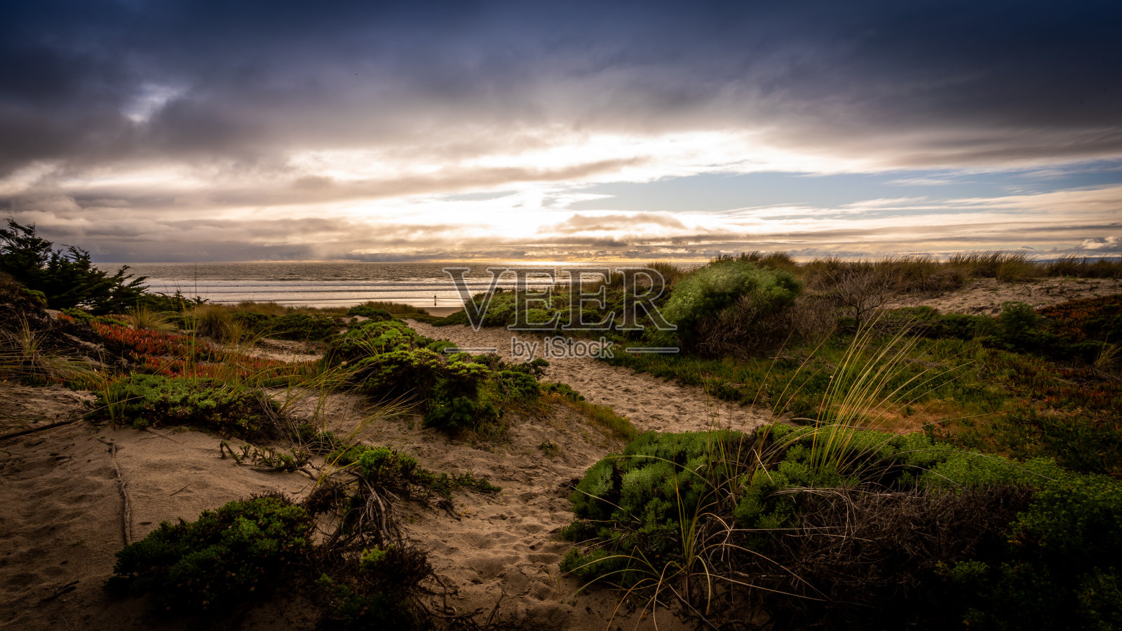 沙丘上的日落照片摄影图片