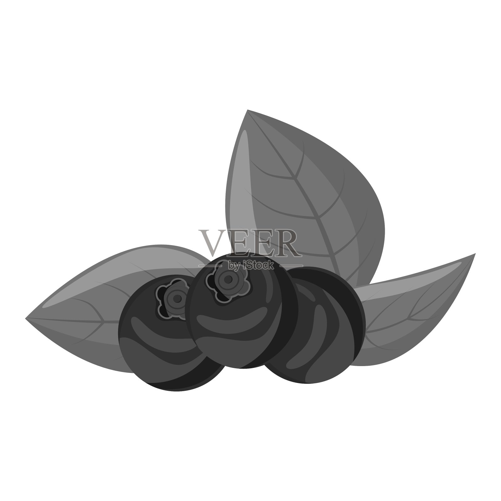 蓝莓图标灰色单色风格插画图片素材