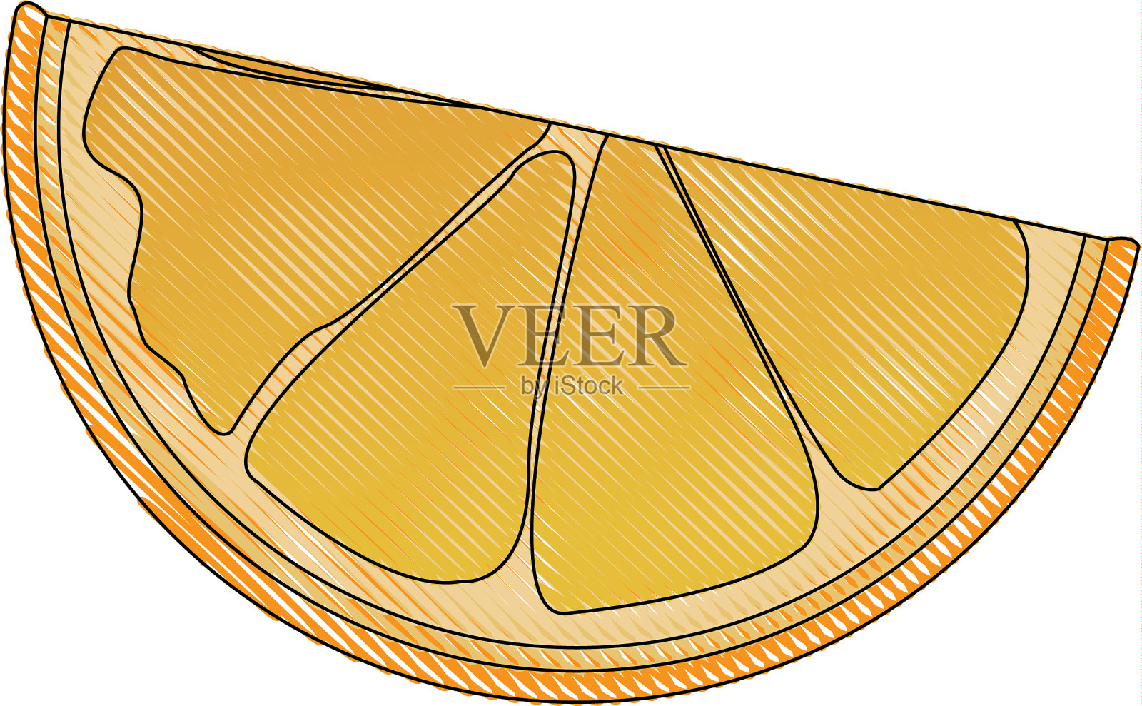 画切片柑橘果实收获插画图片素材