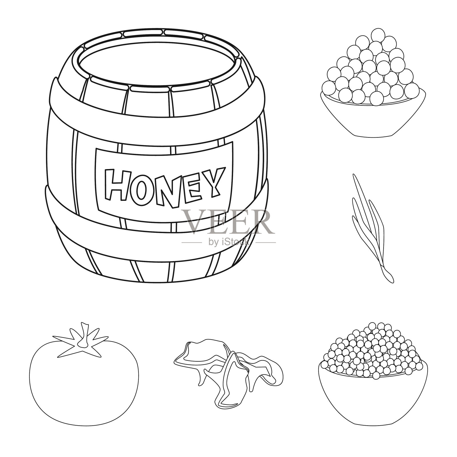 seasonin和成分插画图片素材