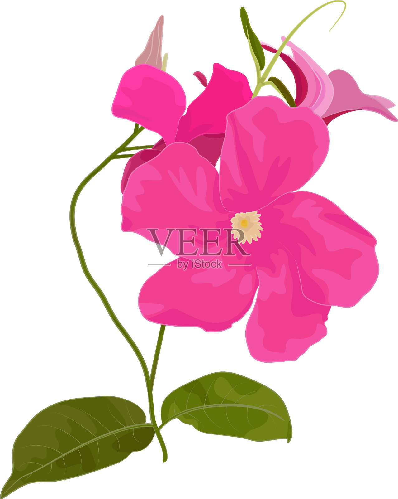 曼德维拉沙设计元素图片