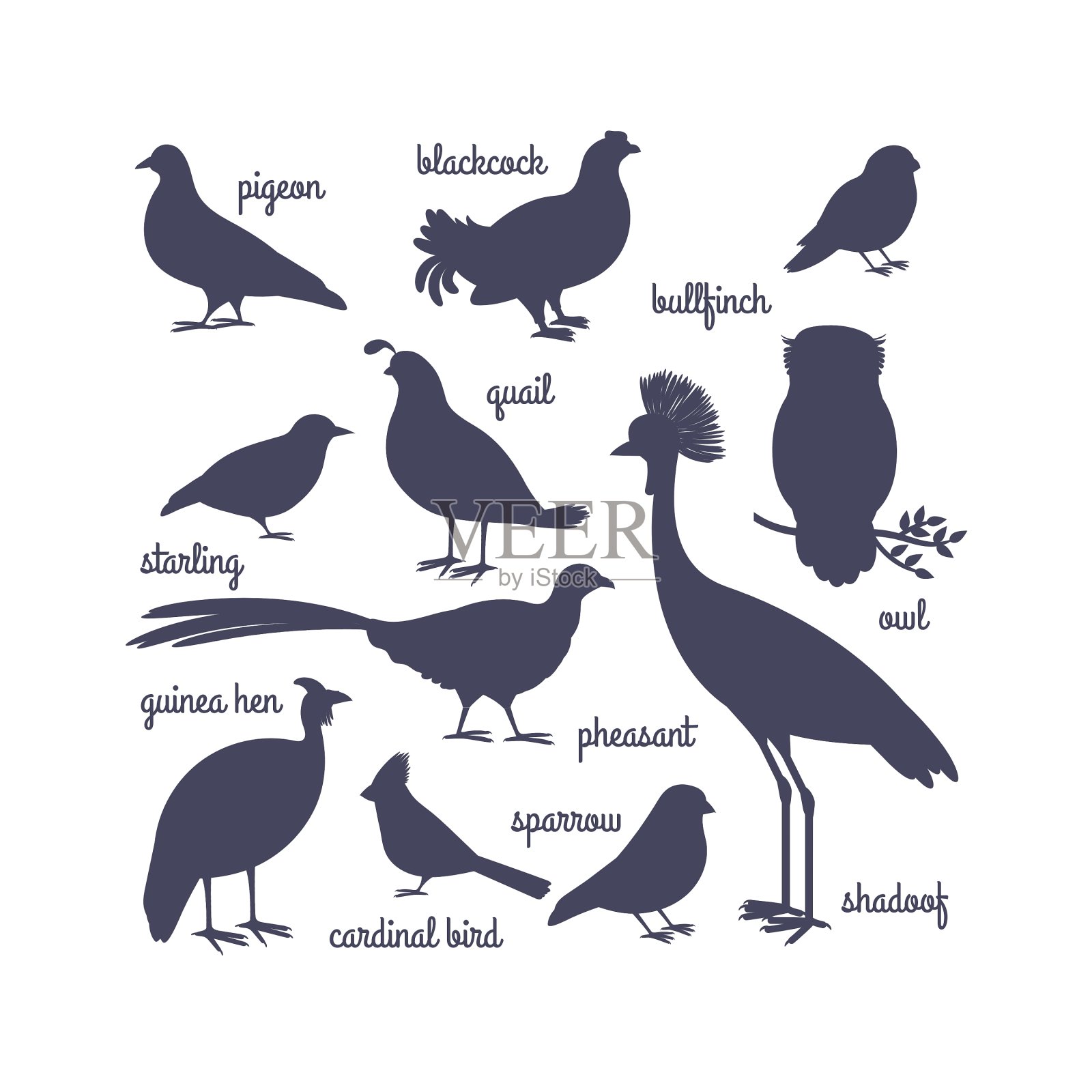 鸟的轮廓孤立在白色上设计元素图片