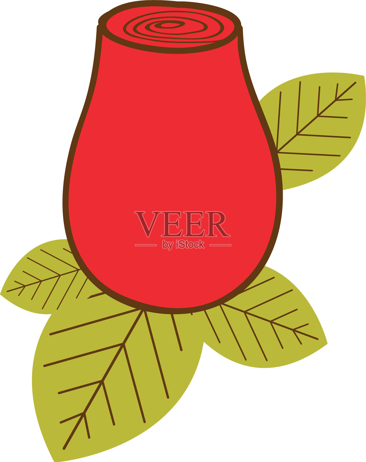 鲜艳的画红玫瑰花蕾用叶子特写插画图片素材