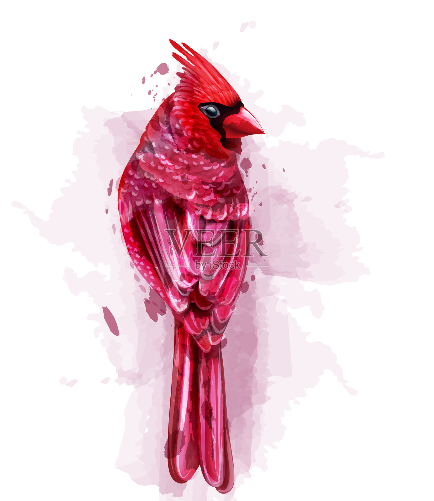 红鸟水彩孤立上设计元素图片