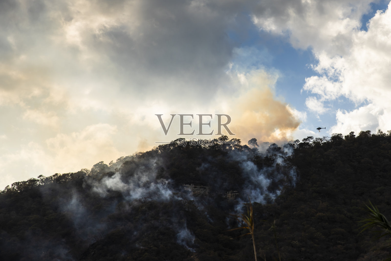 直升机救援任务，以扑灭森林大火照片摄影图片