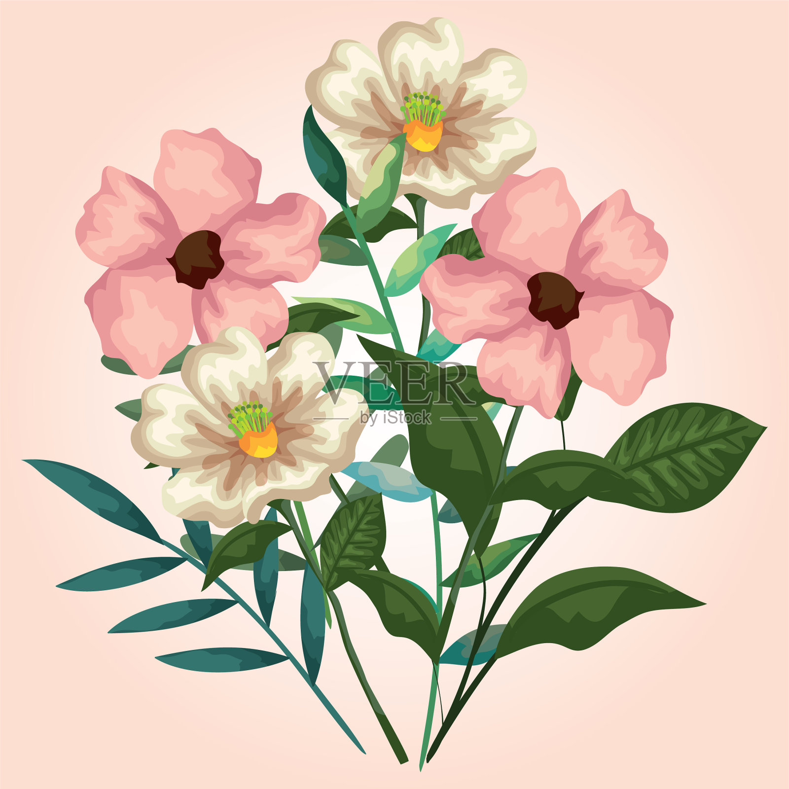 美丽的花和奇异的枝叶植物插画图片素材