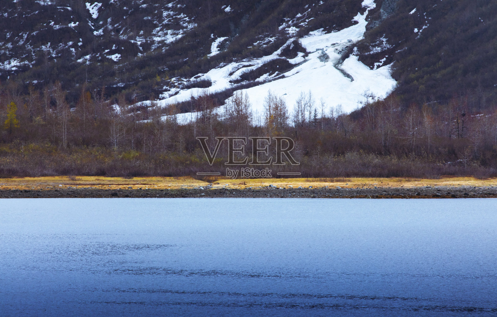 美国阿拉斯加冰川湾国家公园冰原与草地照片摄影图片