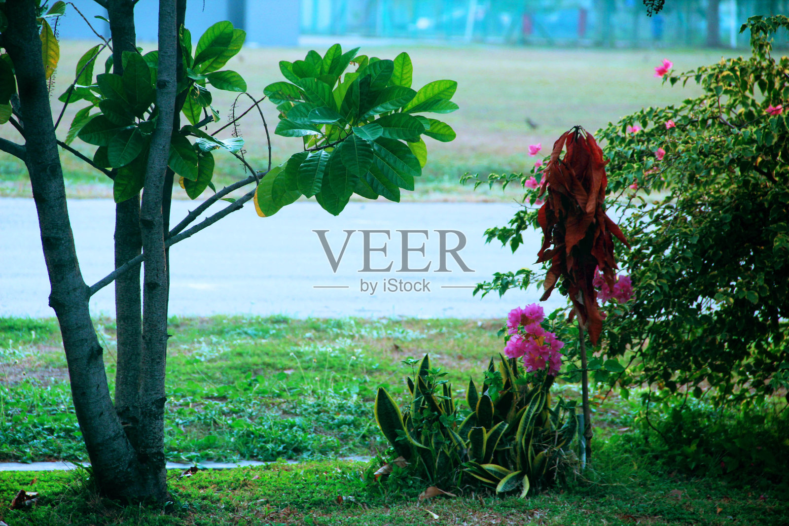 景观照片摄影图片