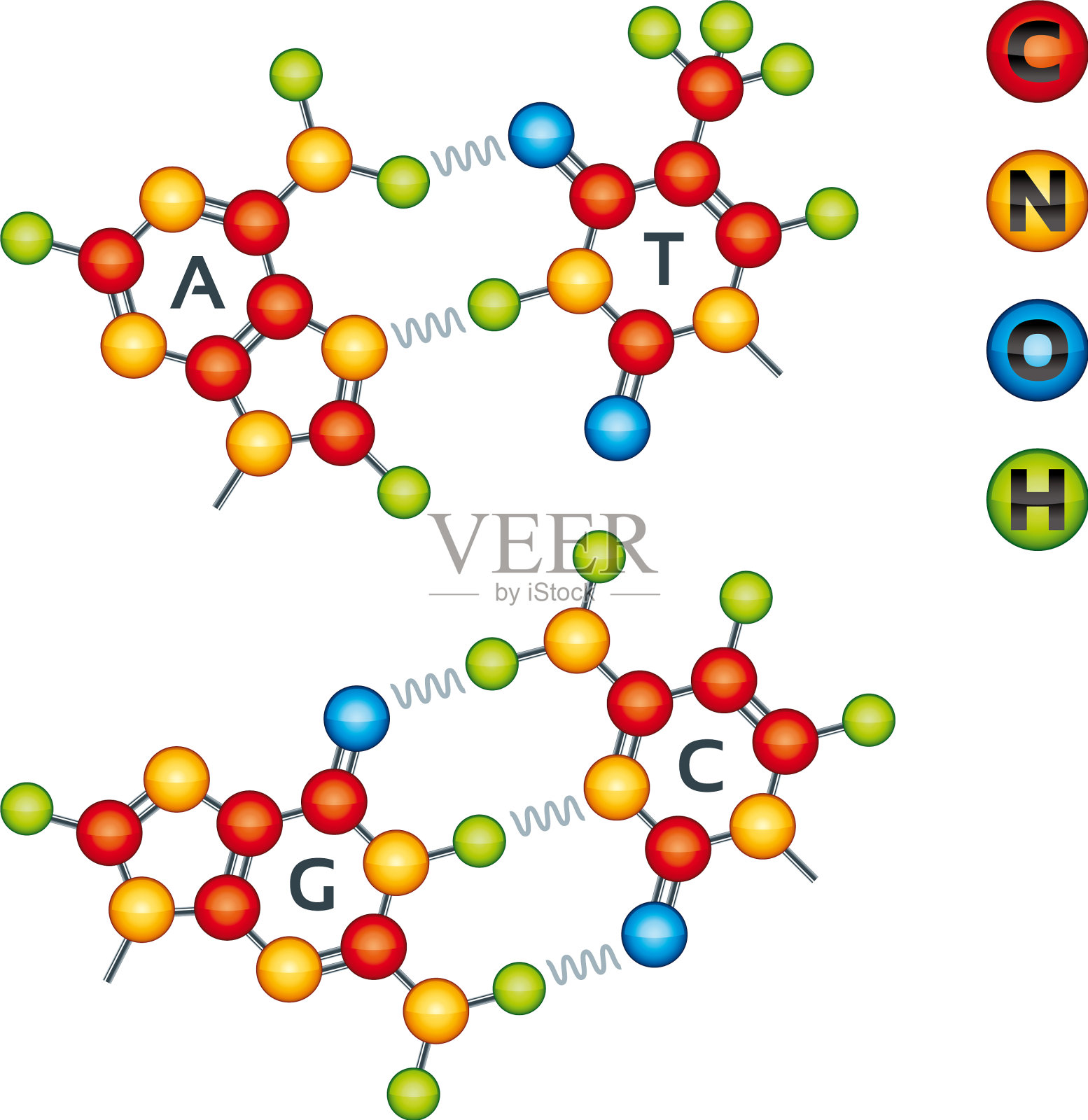 颜色鲜艳的DNA分子的原子结构插画图片素材