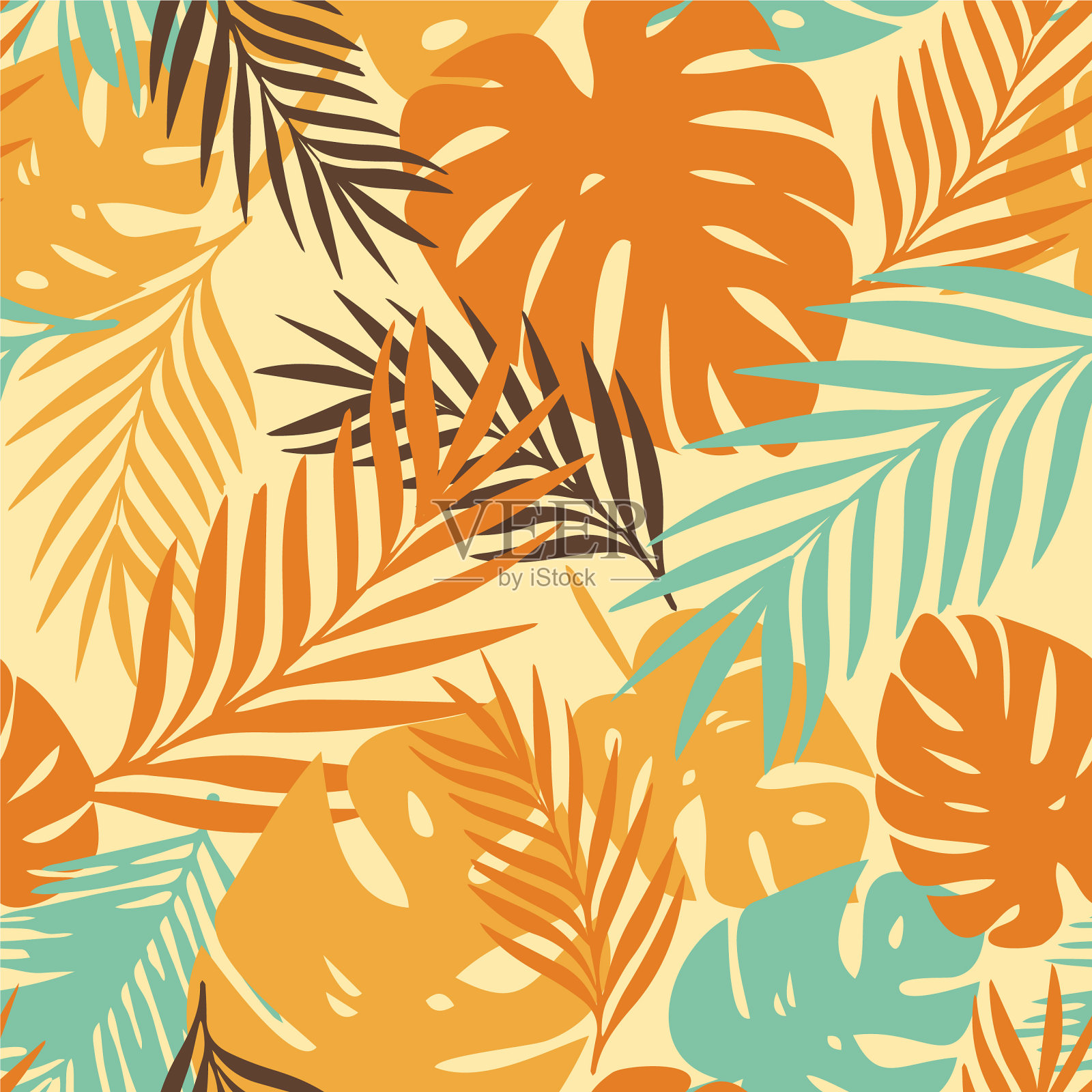 热带的叶子插画图片素材