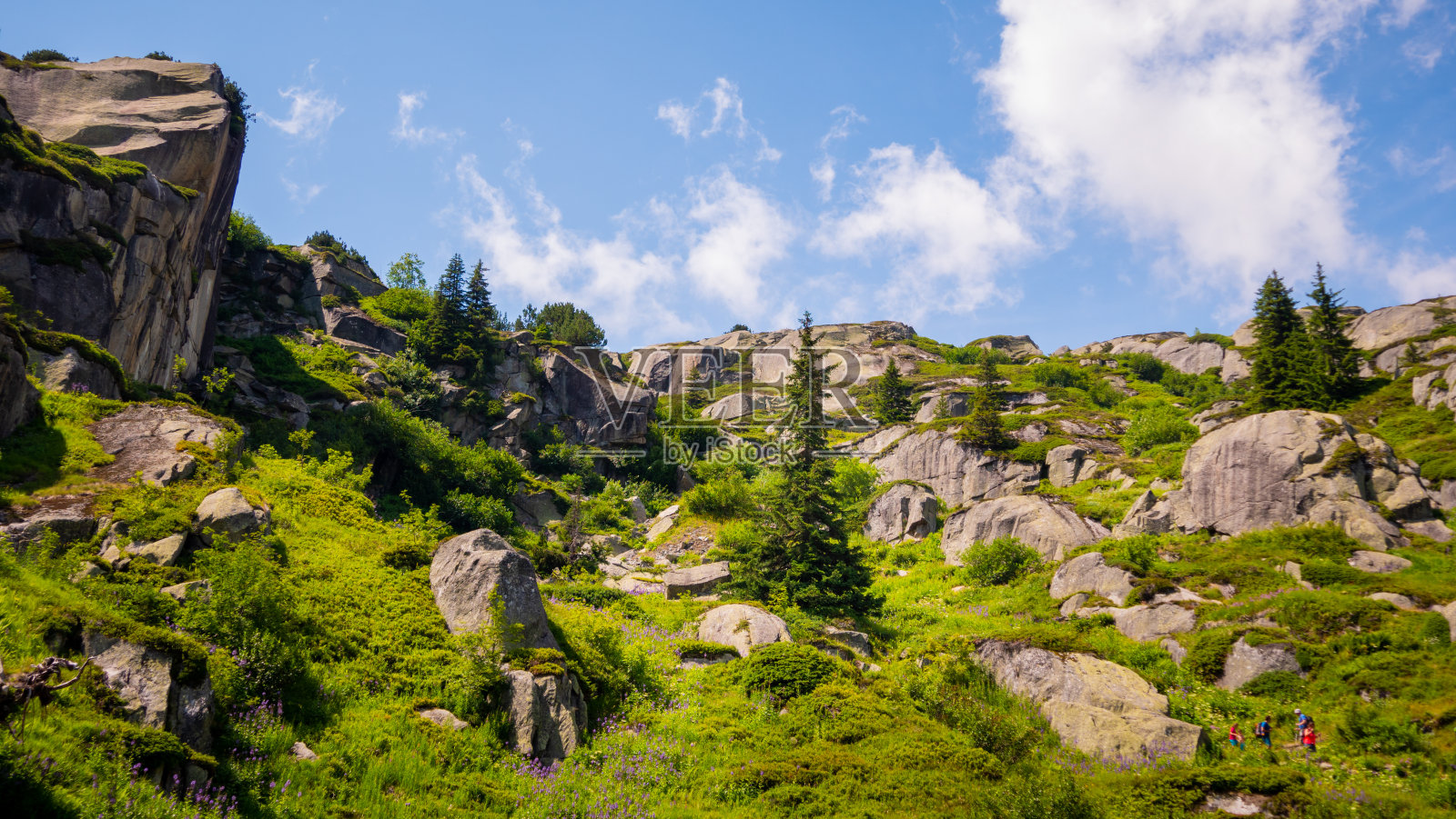 瑞士阿尔卑斯山令人印象深刻的山脉和冰川照片摄影图片
