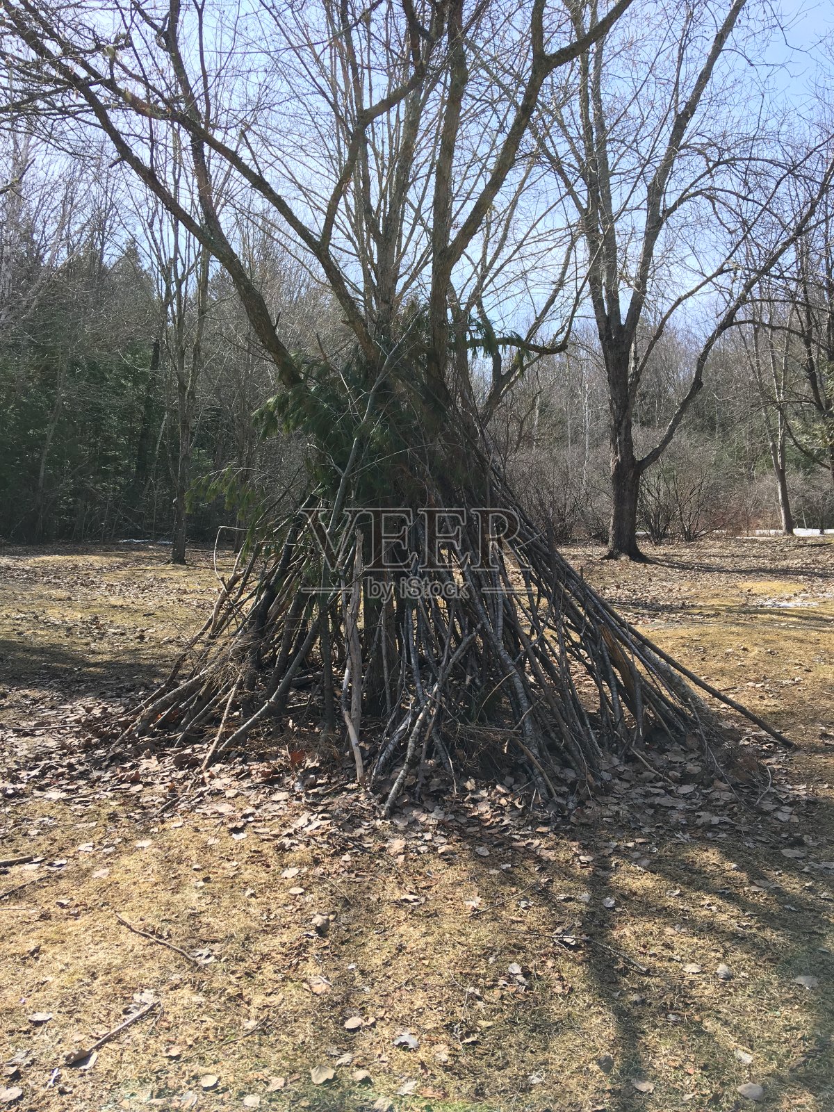建在公园里的凉亭照片摄影图片