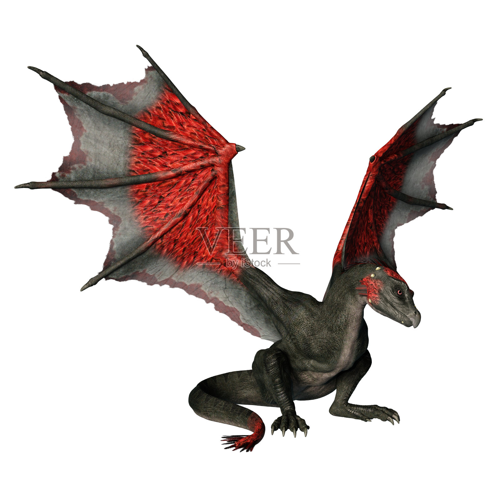 3D插图幻想龙在白色照片摄影图片