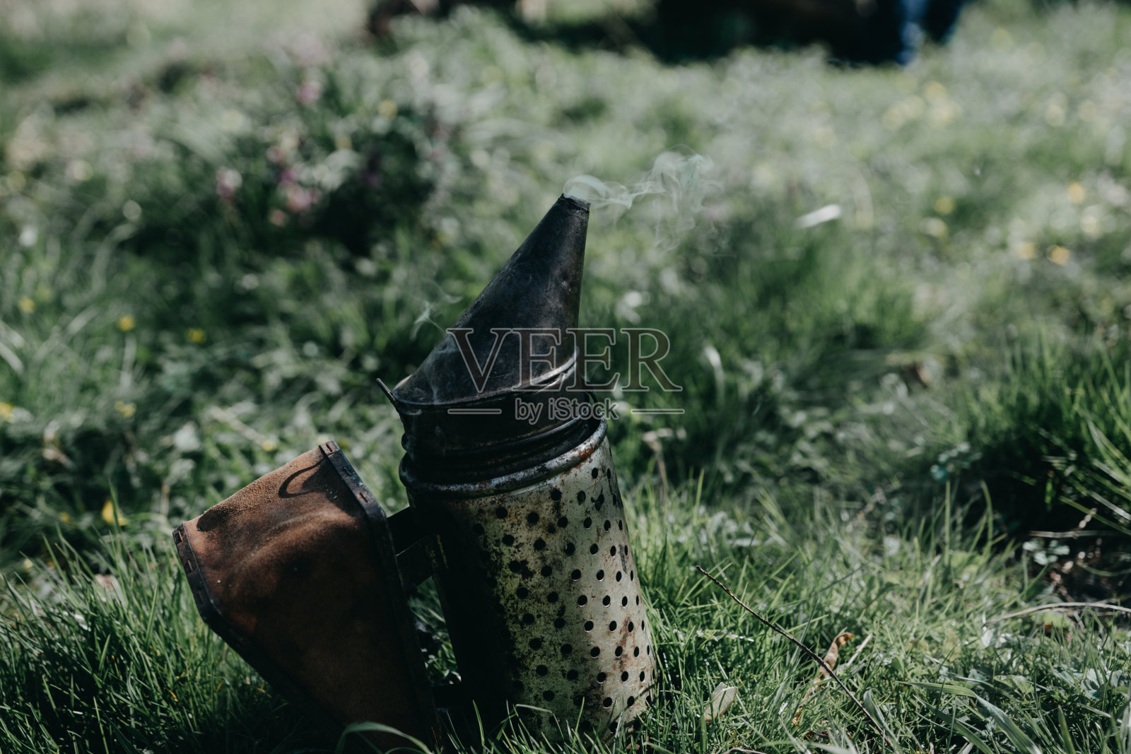 养蜂人手里拿着一个蜂房，里面有蜜蜂。照片摄影图片