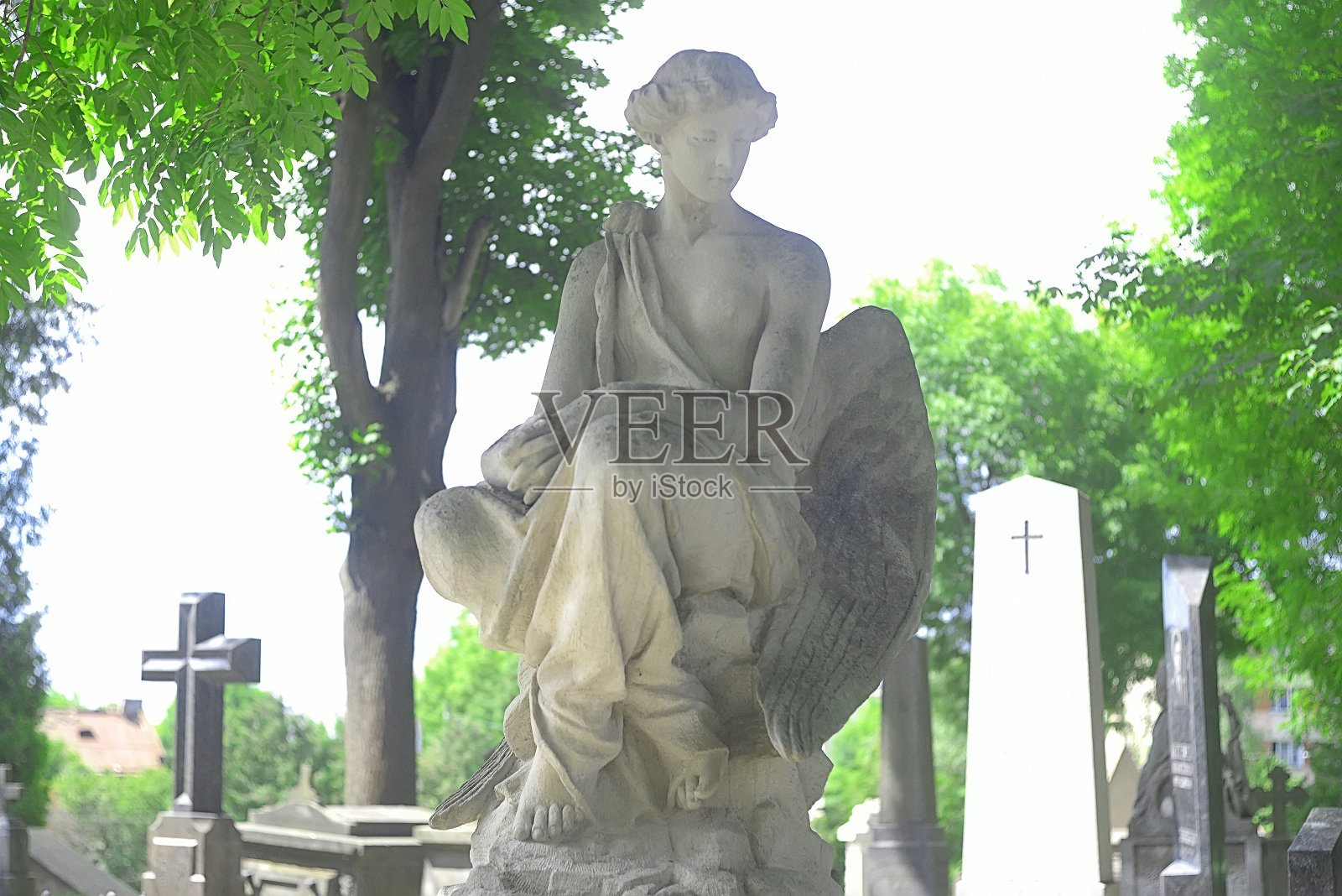 利沃夫历史悠久的利查科夫斯基公墓照片摄影图片