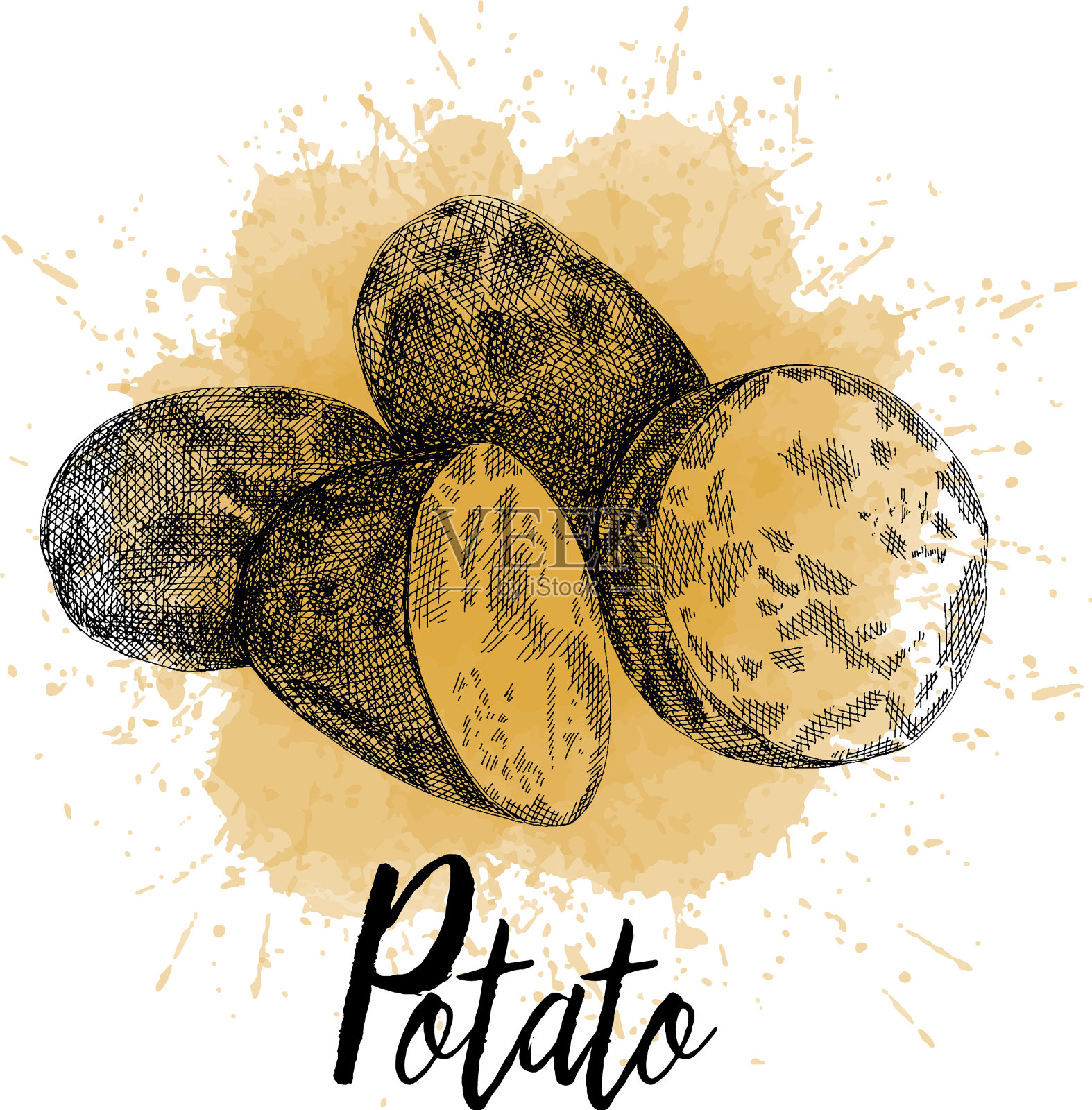 土豆图片手绘图形设计元素图片