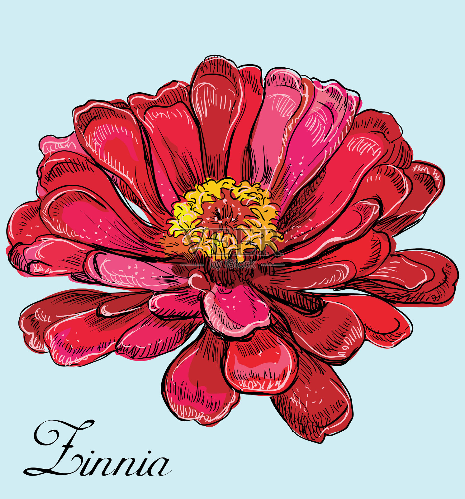 五颜六色的花6插画图片素材