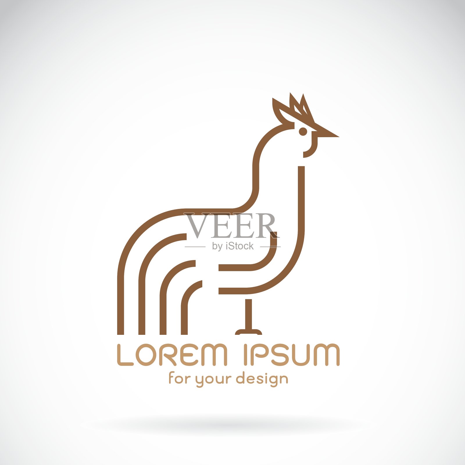 鸡的设计插画图片素材