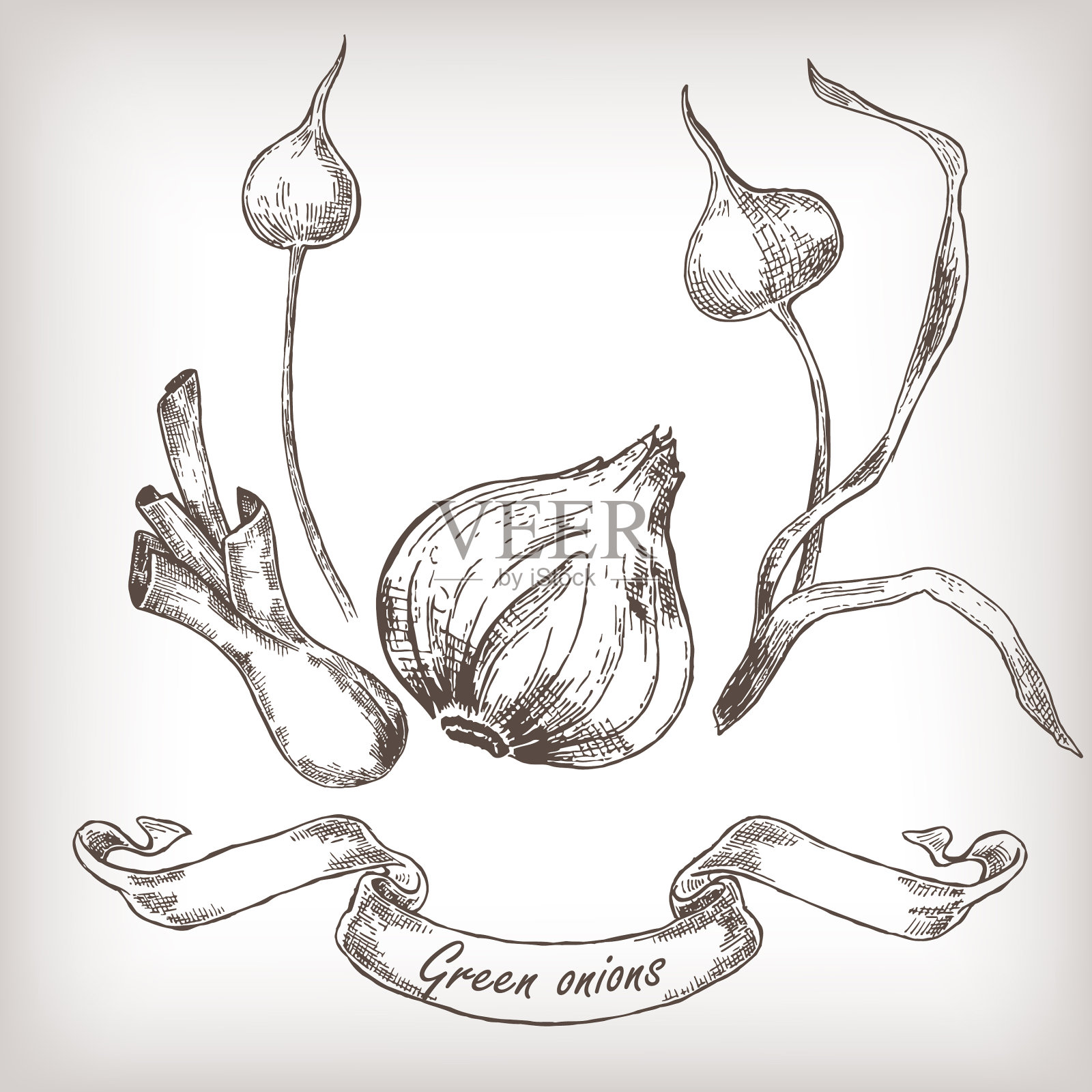 手绘洋葱套插画图片素材