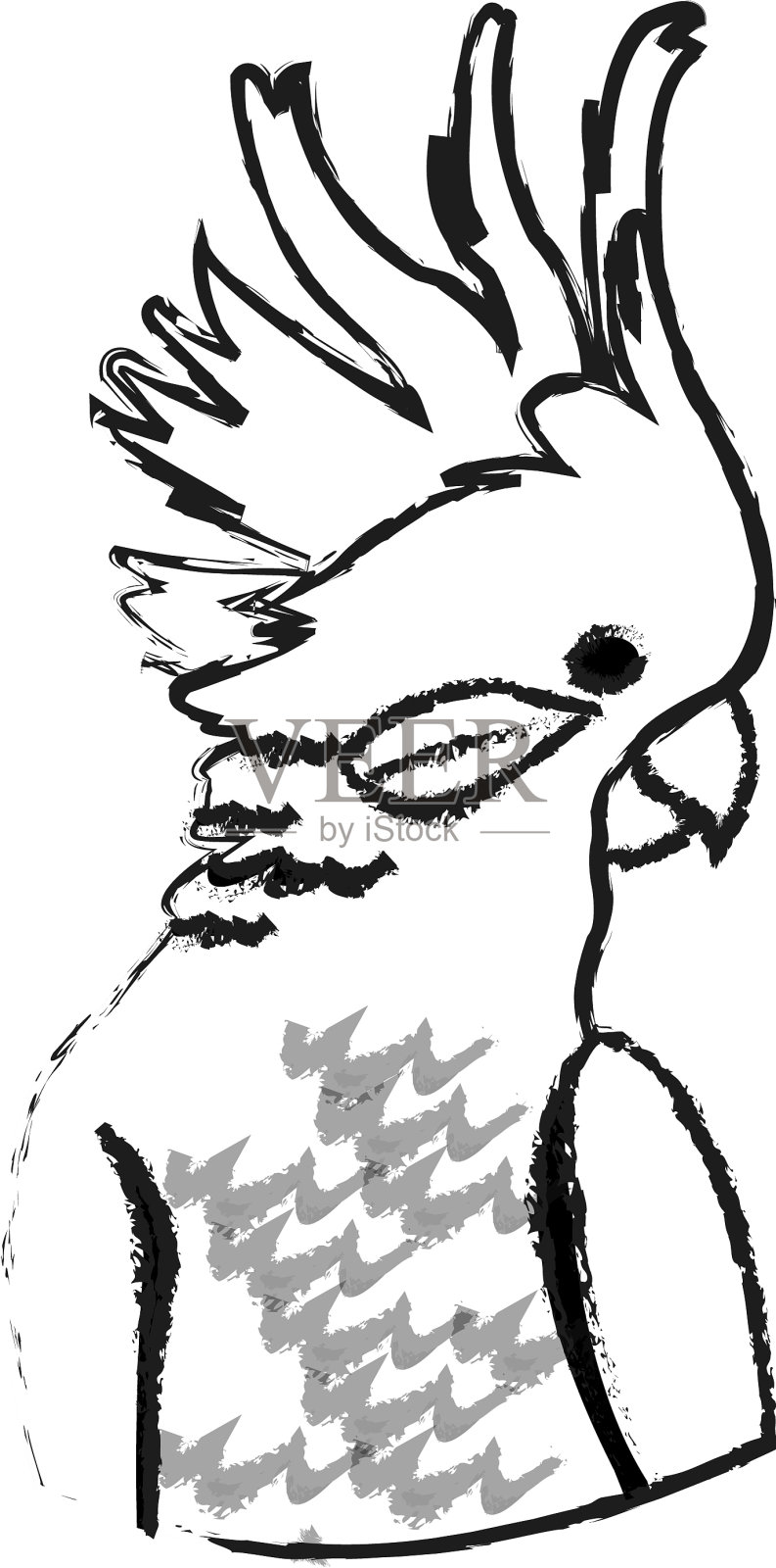 热带鸟类图标图像插画图片素材