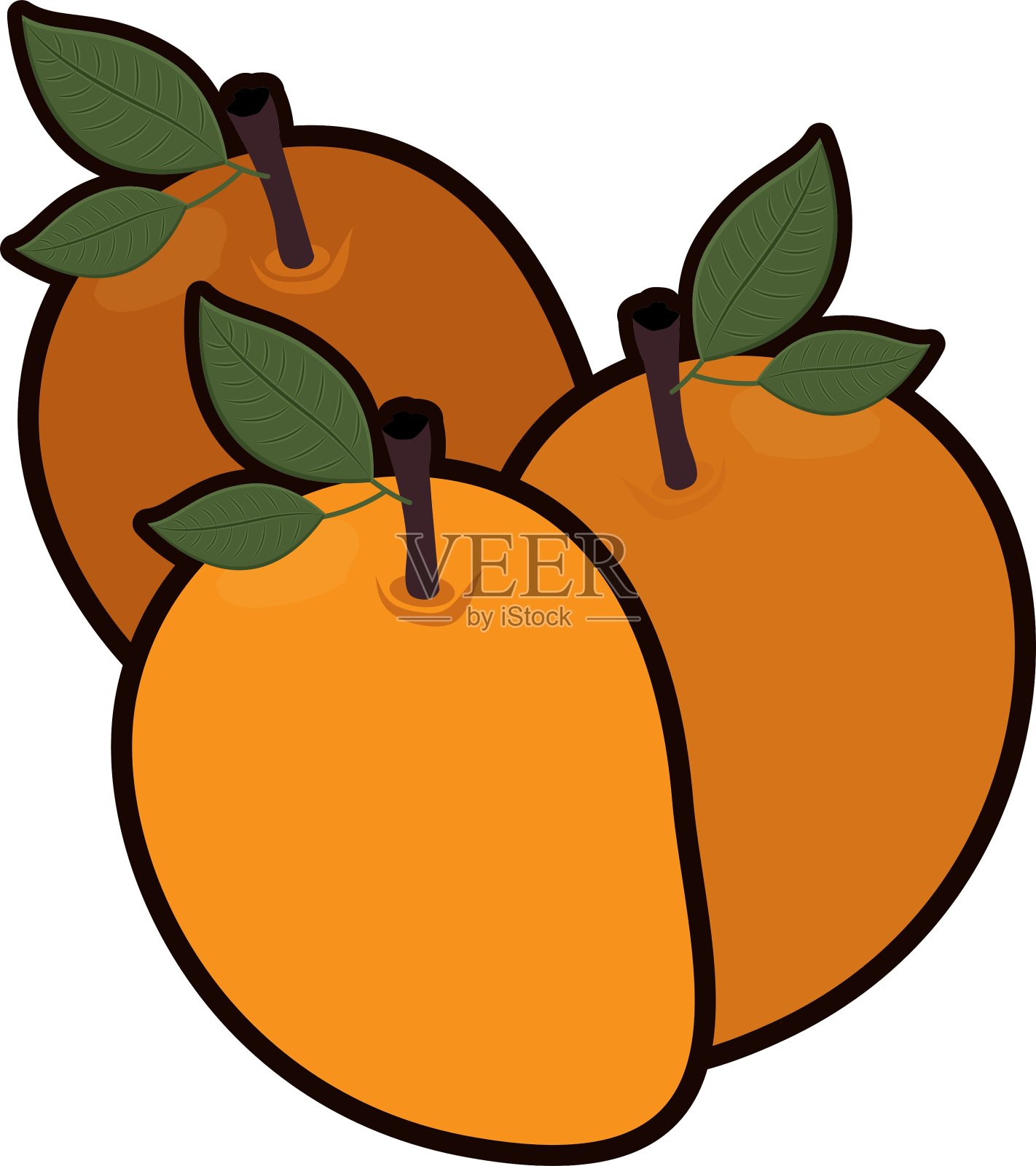 孤立芒果果实设计插画图片素材