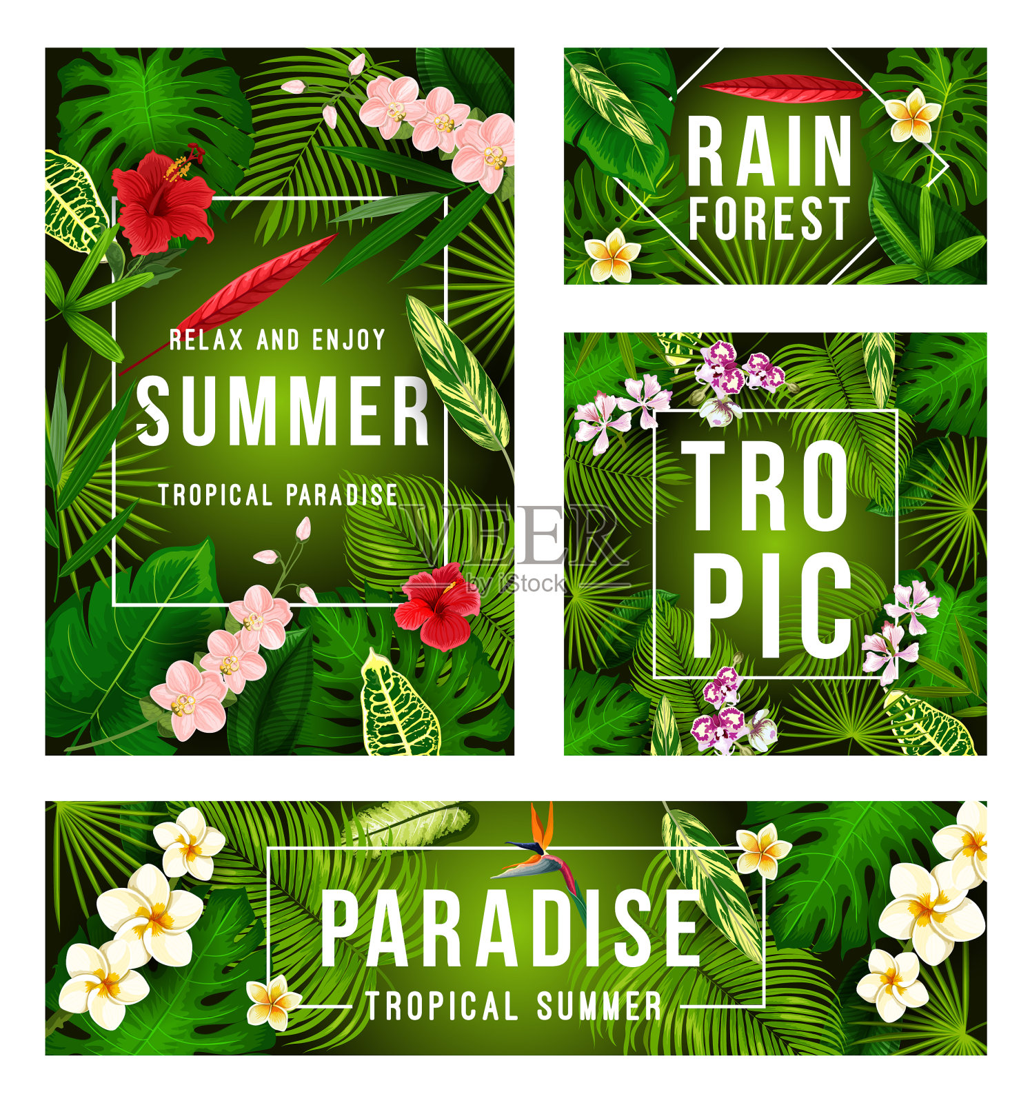 夏日热带旗帜与异国情调的花卉框架设计模板素材