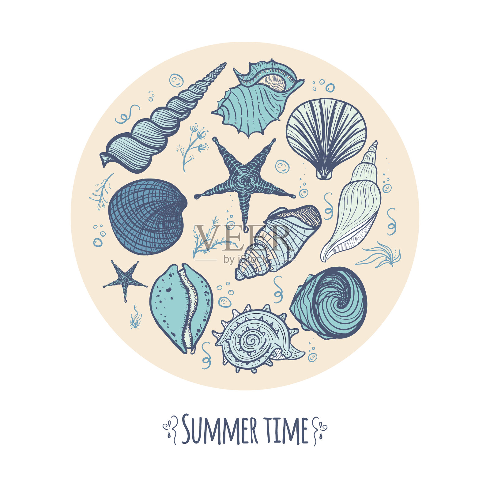 一组围成圆圈的贝壳设计元素图片