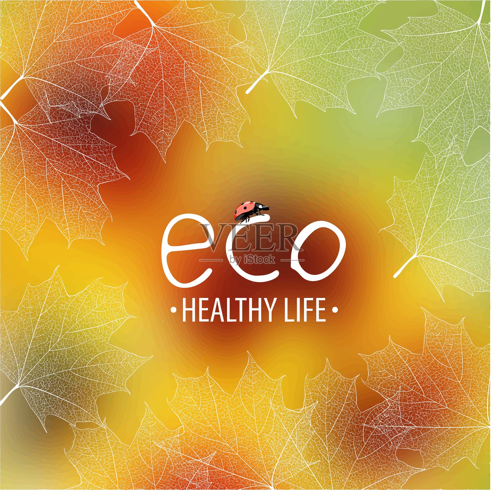 美丽的夏秋背景插画图片素材