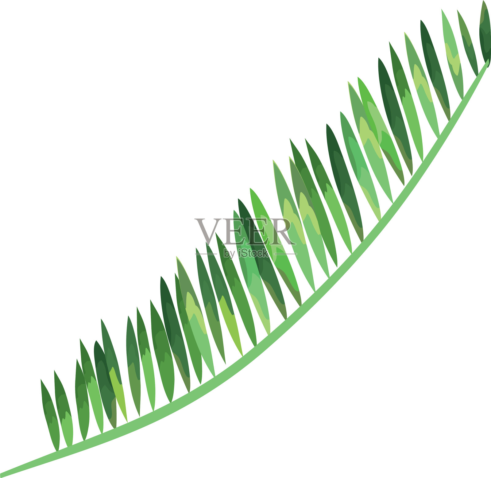 异国情调的棕榈叶热带图标设计元素图片