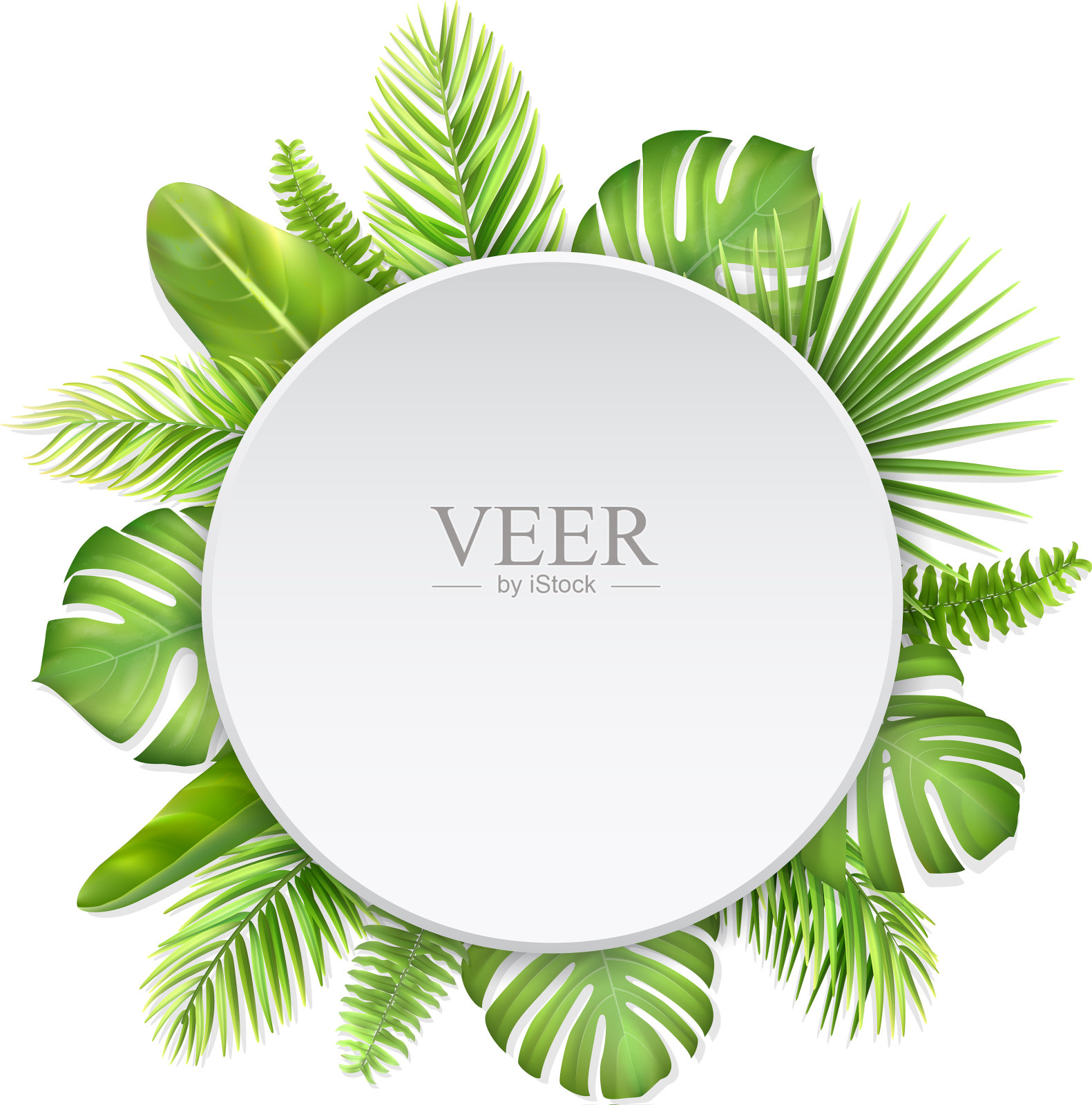 白色标签，热带叶设计元素图片