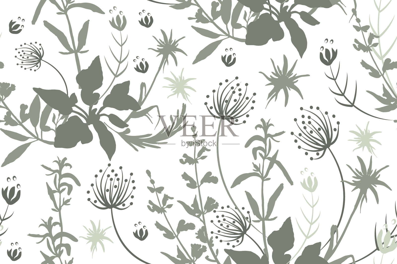 花朵和药草的灰色剪影插画图片素材