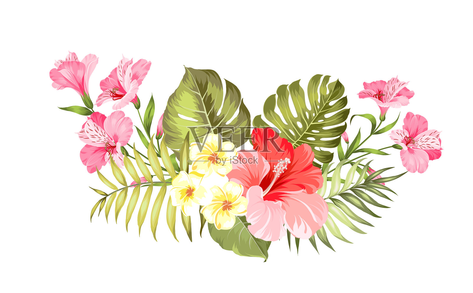 热带花环为您的卡片设计设计元素图片